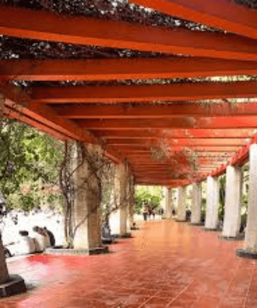 Leona cerca de la Roma