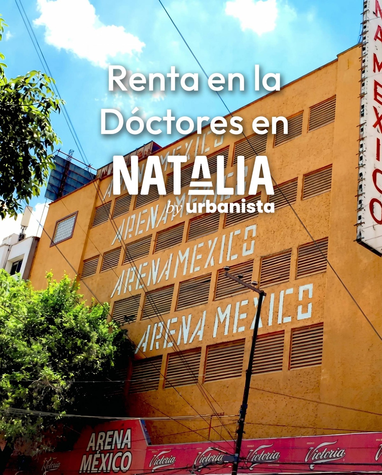 Doctores