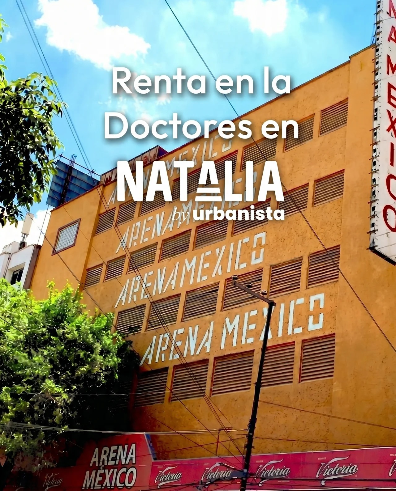 Doctores