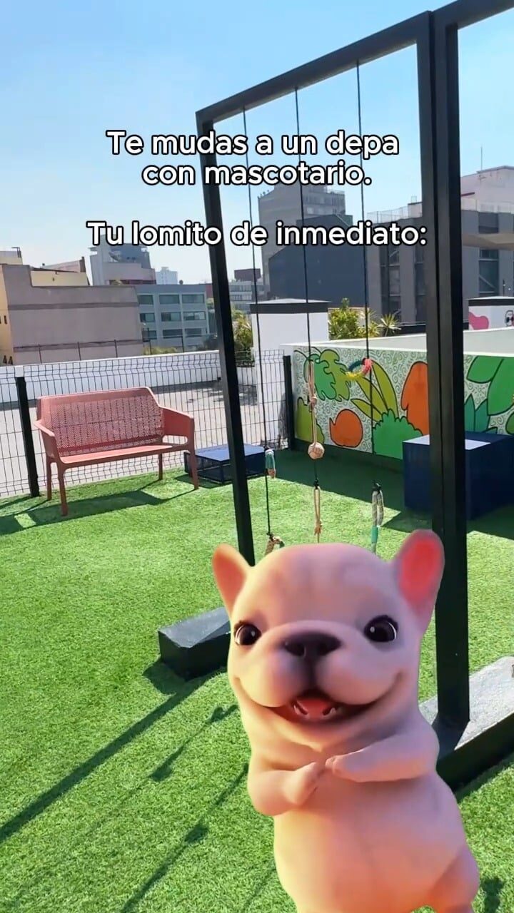 Instagram post from urbanista.mx. This post is in position 2.